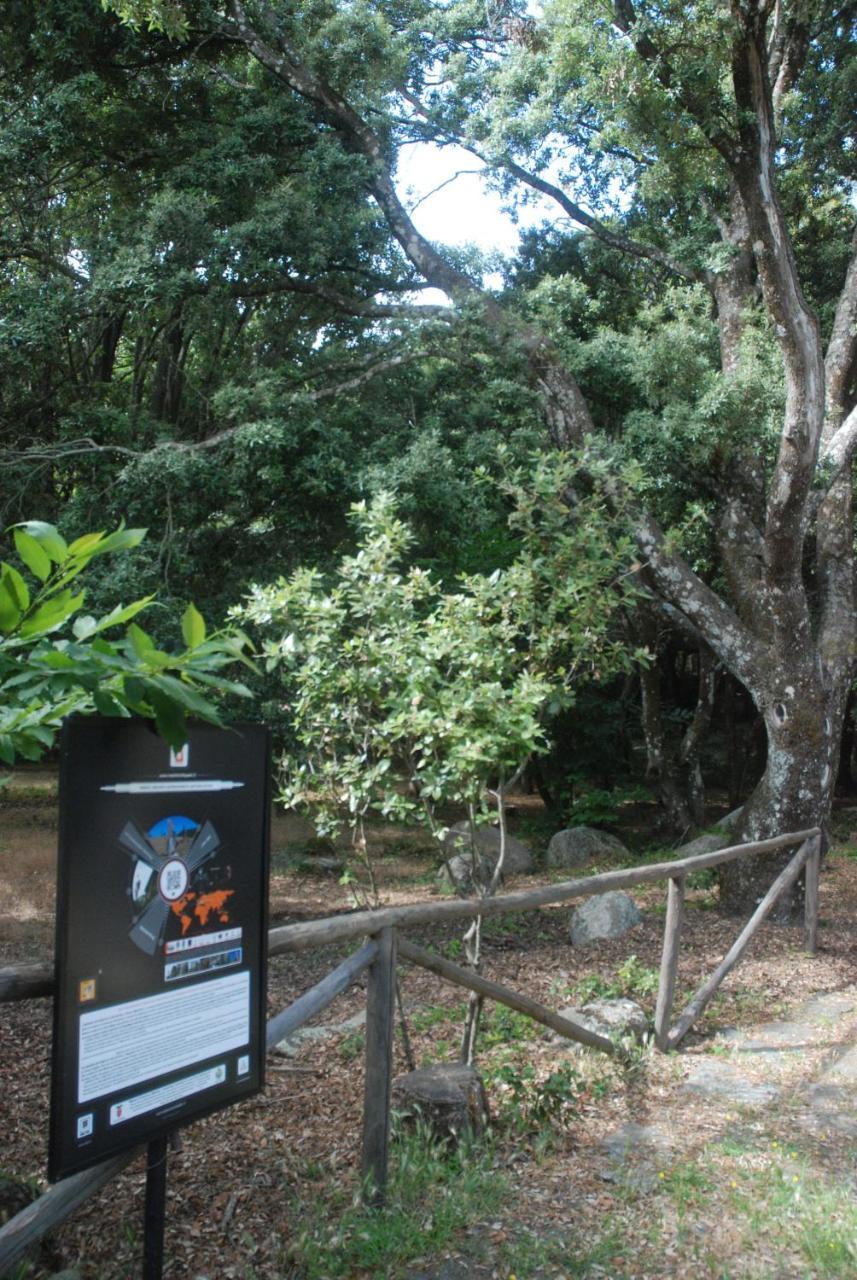 Hotel Bosco Selene Lanusei Bagian luar foto